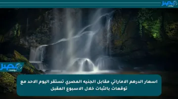 أسعار الدرهم الإماراتي مقابل الجنيه المصري تستقر اليوم الأحد مع توقعات بالثبات خلال الأسبوع المقبل